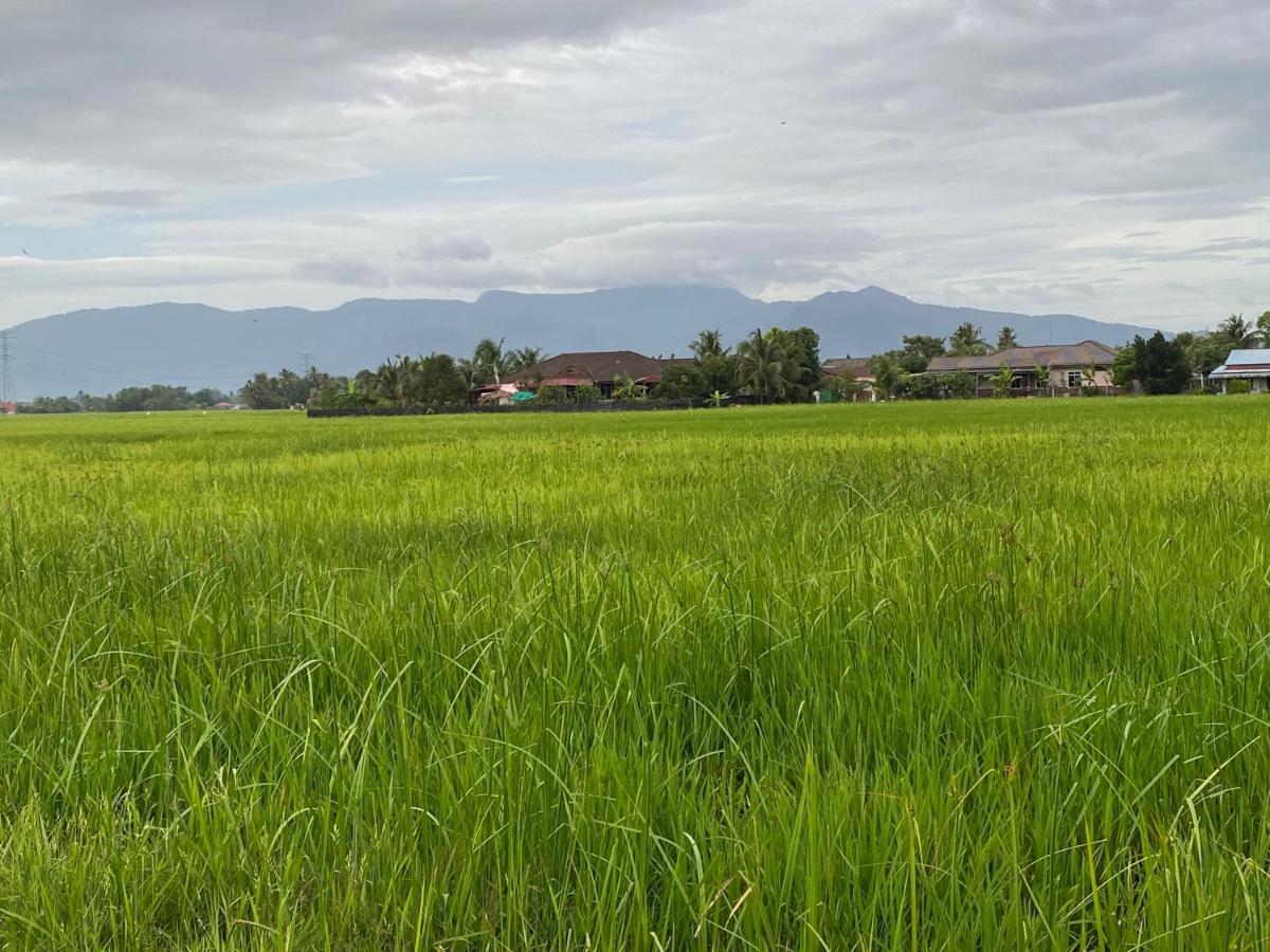 An-Nur Homestay Sungai Petani Exterior foto